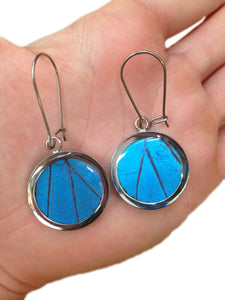 Pendant Butterfly Wing Earrings - Blue Morpho Circle