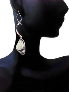 Real butterfly wing earrings with sterling silver twist - Delias Hyparete Forewing