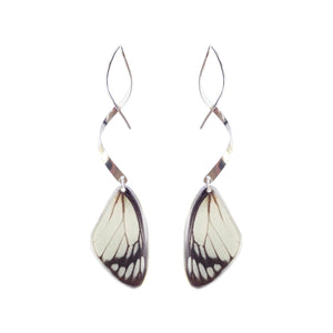 Real butterfly wing earrings with sterling silver twist - Delias Hyparete Forewing