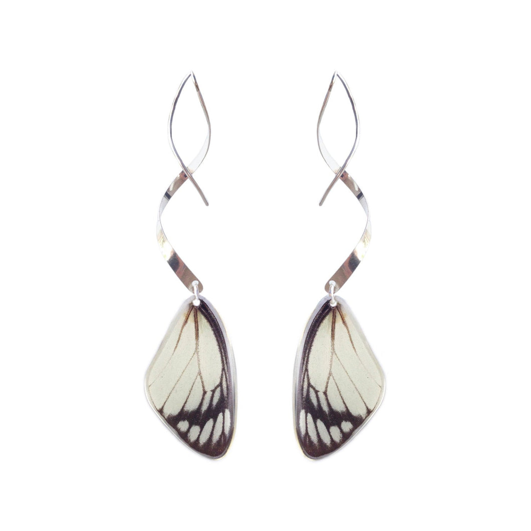 Real butterfly wing earrings with sterling silver twist - Delias Hyparete Forewing
