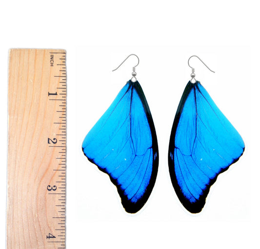 Large Blue Morpho butterfly wing earrings, alternate view