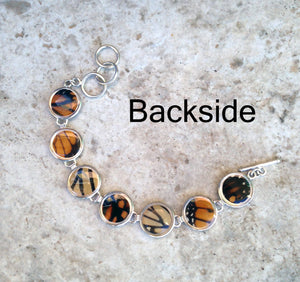 Monarch Butterfly Wing Sterling Silver Bracelet