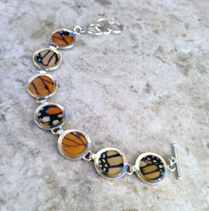 Monarch Butterfly Wing Sterling Silver Bracelet