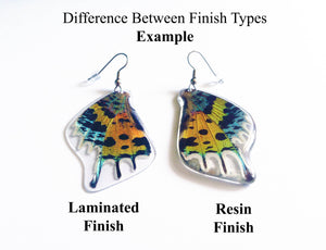 Real Butterfly Wing Earrings - Papilio Bromius