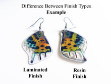 Load image into Gallery viewer, Real Butterfly Wing Earrings - Papilio Dardanus
