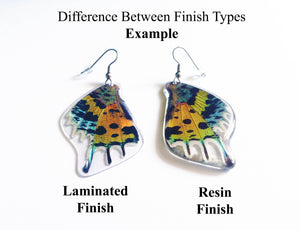 Real Butterfly Wing Earrings - Papilio Dardanus