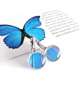 Real Blue Butterfly Wing Post Earrings - Blue Morpho Dropped Post