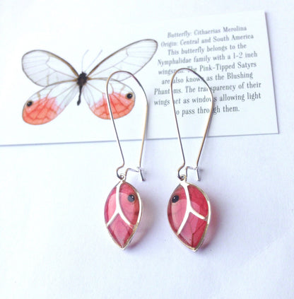 Real Blushing Phantom butterfly wing leaf earrings