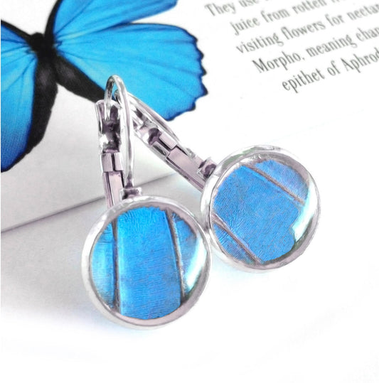 Real Blue Morpho wing dropped post earrings