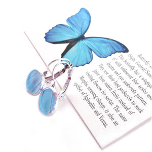 Real Blue Butterfly Wing Post Earrings - Blue Morpho Dropped Post