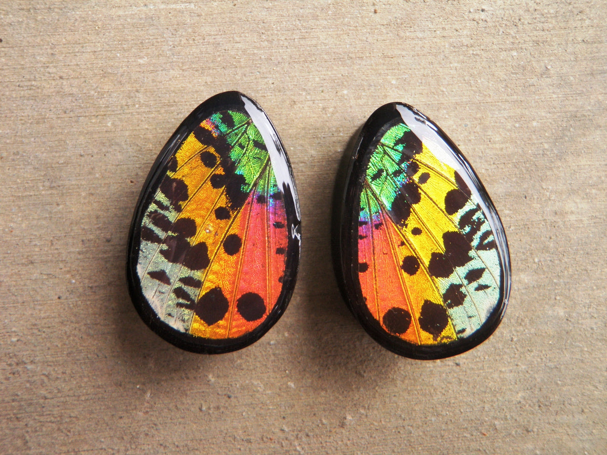 Sunset Moth teardrop plugs, alternate view