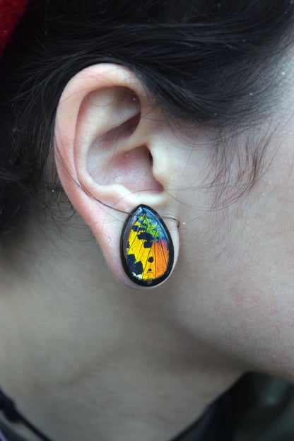 Real rainbow Sunset Moth wing teardrop plugs for stretched ears