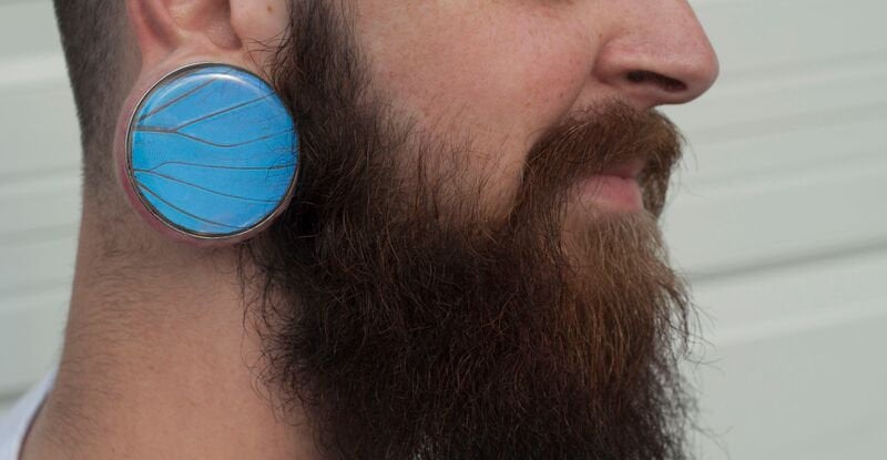 Blue Morpho circle plugs, detail view