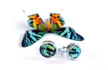 Load image into Gallery viewer, Butterfly Wing Cufflinks - Green Sunset Moth
