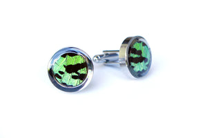 Butterfly Wing Cufflinks - Green Sunset Moth