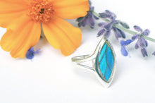 Load image into Gallery viewer, Real Butterfly Wing Ring - Blue Morpho Marquis
