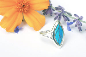 Real Butterfly Wing Ring - Blue Morpho Marquis