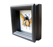 Load image into Gallery viewer, Steampunk Demon Beetle Taxidermy Artwork - Insect Art, Framed Insect Art, Beetle, Gothic Art, Oddities and Curiosities
