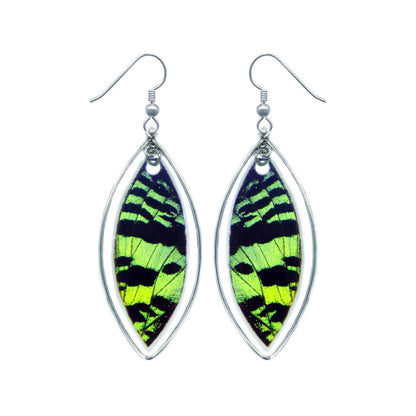 Real green Sunset Moth wing earrings in sterling silver marquis drops