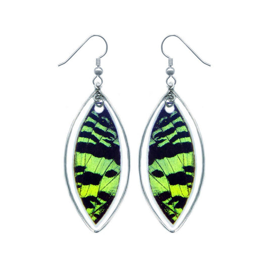 Real green Sunset Moth wing earrings in sterling silver marquis drops