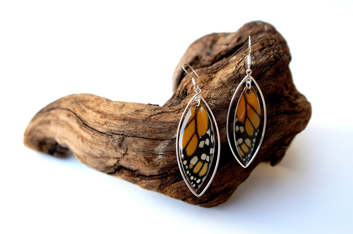 Real Monarch forewing earrings in sterling silver