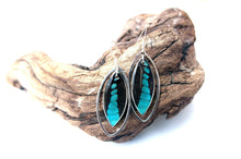 Load image into Gallery viewer, Real Butterfly Wing Sterling Silver Earrings - Graphium Milon Forewing
