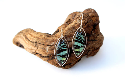 Green Sunset Moth marquis earrings, alternate view