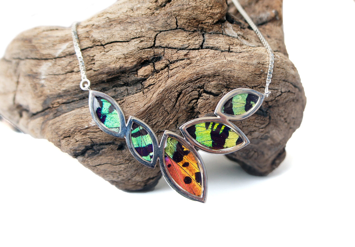 Real Sunset Moth wing in a sterling silver marquis necklace