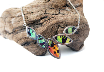 Real Sunset Moth wing in a sterling silver marquis necklace