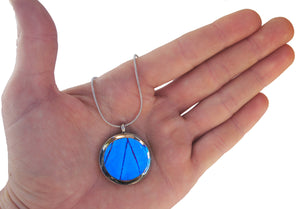 Real Butterfly Wing Necklace Stainless Steel Pendant - Blue Morpho