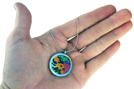 Rainbow Sunset Moth pendant, alternate view
