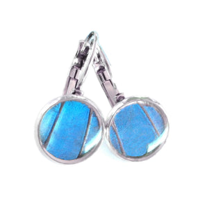 Real Blue Butterfly Wing Post Earrings - Blue Morpho Dropped Post