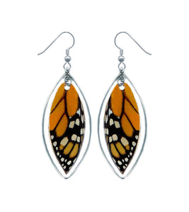 Real Monarch Butterfly Wing- Sterling Silver Earrings - Monarch Forewing - Butterfly Gift, Nature Theme Jewelry