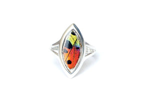Real Butterfly Wing Ring - Rainbow Sunset Moth Marquis
