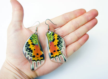 Rainbow Sunset Moth earrings, detail view
