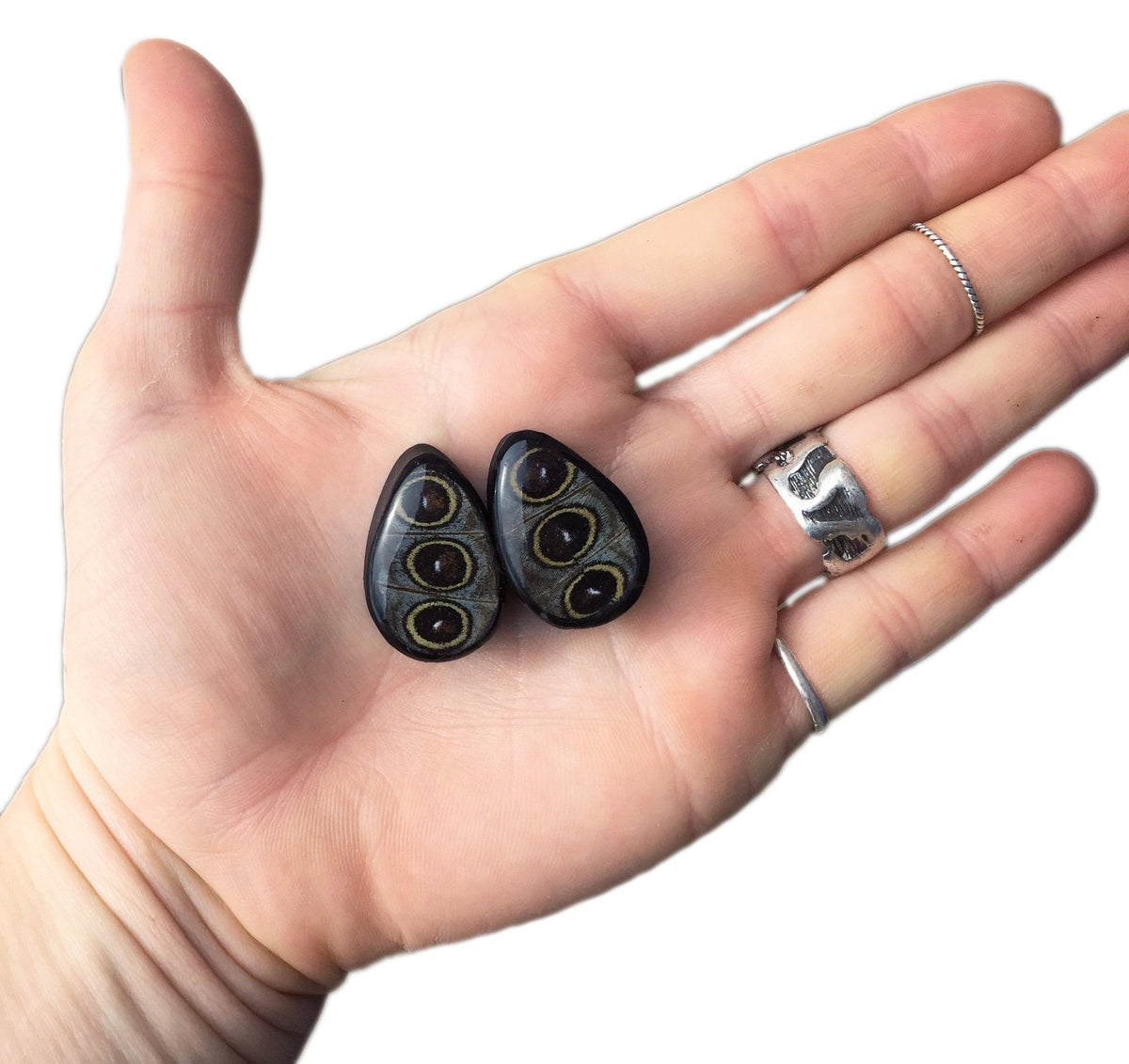 Owl eye wing plugs, detail view