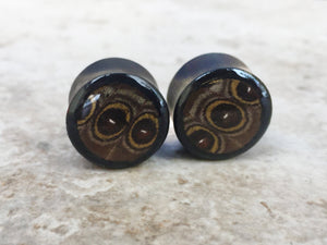 Real Owl Eye Butterfly Wing Teardrop Plugs 1/2"-1 1/2" - Body Jewelry, Gauges, Teardrop Plugs