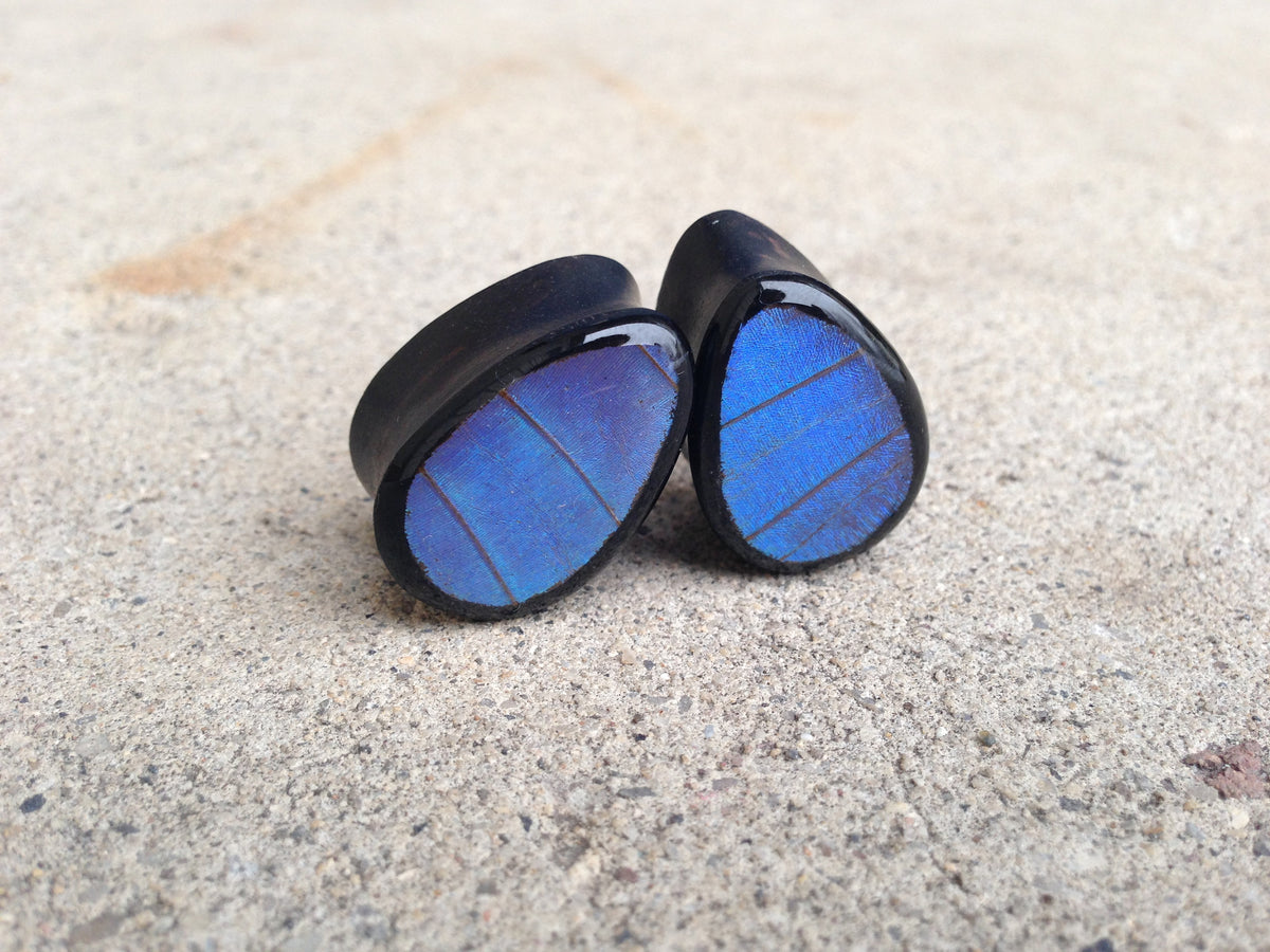 Blue Morpho teardrop plugs, alternate view