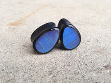 Load image into Gallery viewer, Real Butterfly Wing Teardrop Plugs - Blue Morpho Forewing
