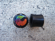 Load image into Gallery viewer, Real Moth Wing Circle Plugs 1/2&quot;-1 1/2&quot;- Rainbow Sunset Moth - Body Jewelry, Gauges, Teardrop Plugs
