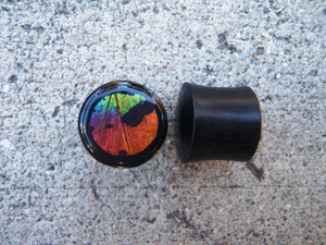 Real Moth Wing Circle Plugs 1/2"-1 1/2"- Rainbow Sunset Moth - Body Jewelry, Gauges, Teardrop Plugs