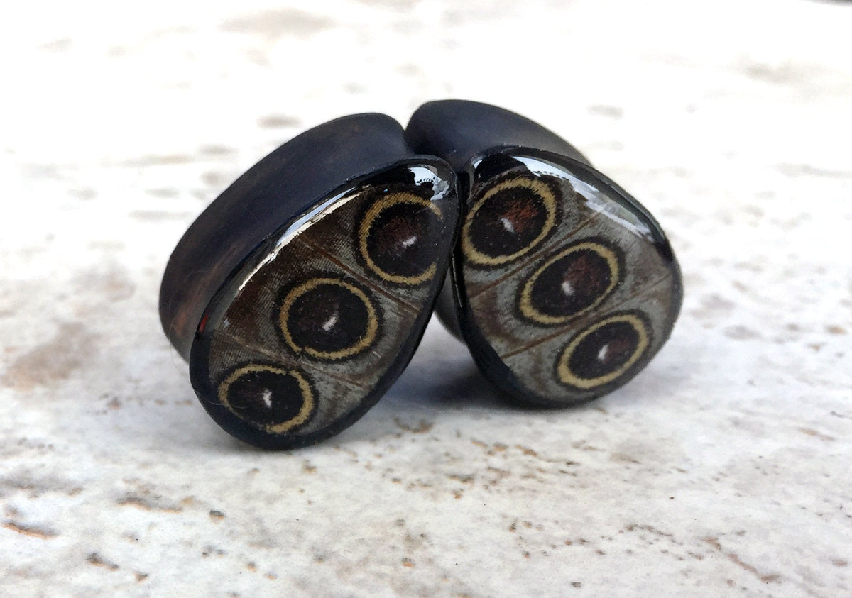 Owl eye wing plugs, alternate view