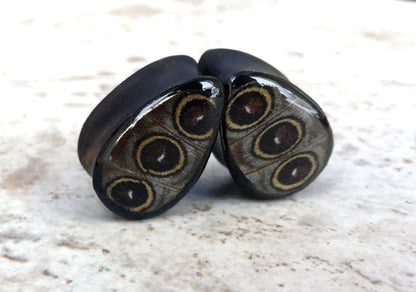 Owl eye wing plugs, alternate view