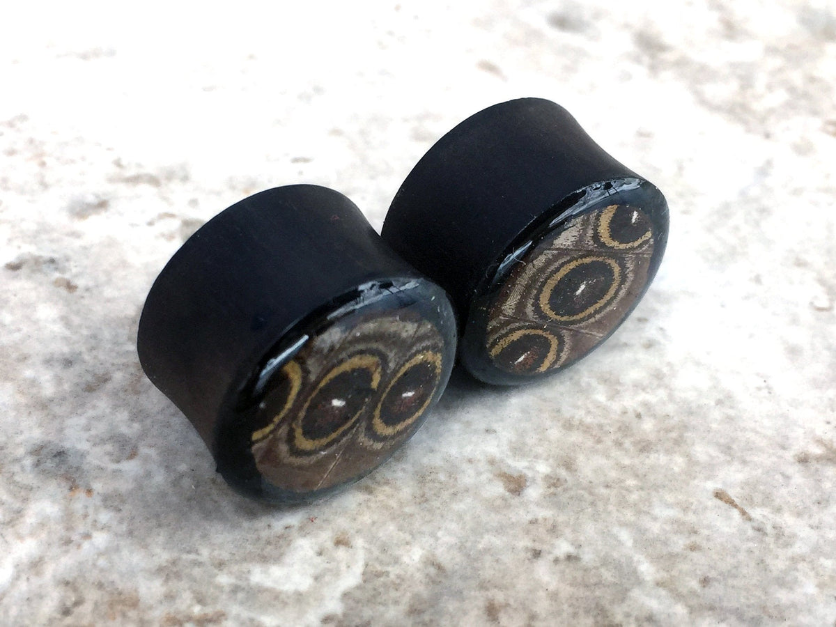 Owl eye wing plugs, additional view