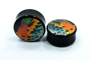 Real Moth Wing Circle Plugs 1/2"-1 1/2"- Rainbow Sunset Moth - Body Jewelry, Gauges, Teardrop Plugs