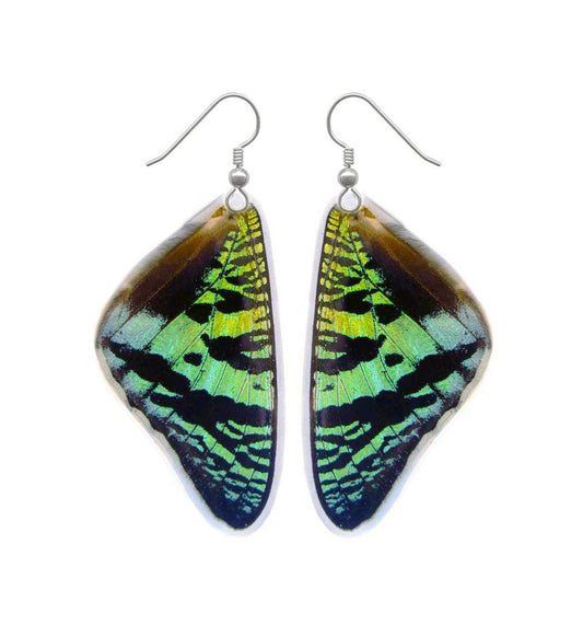 Real green Sunset Moth wing earrings