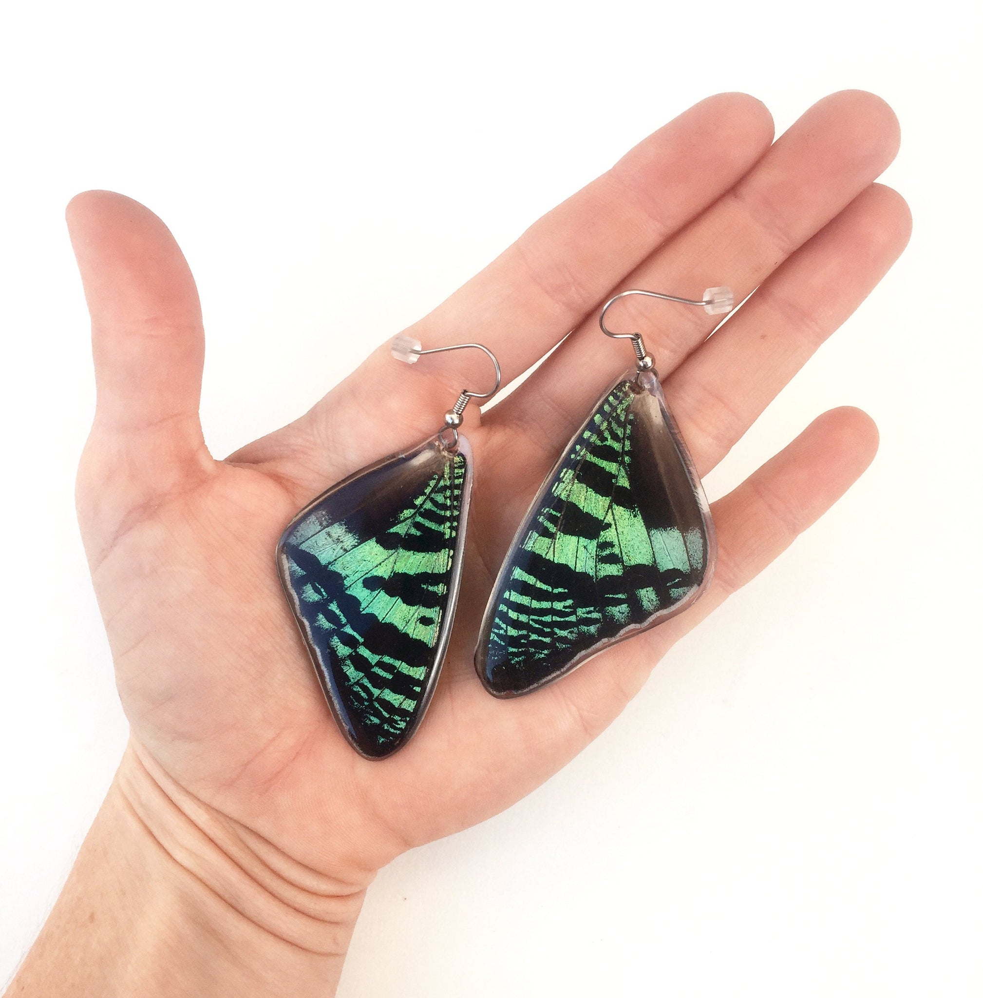 Real Butterfly Wing Earrings - Green Sunset Moth – Asana Natural Arts