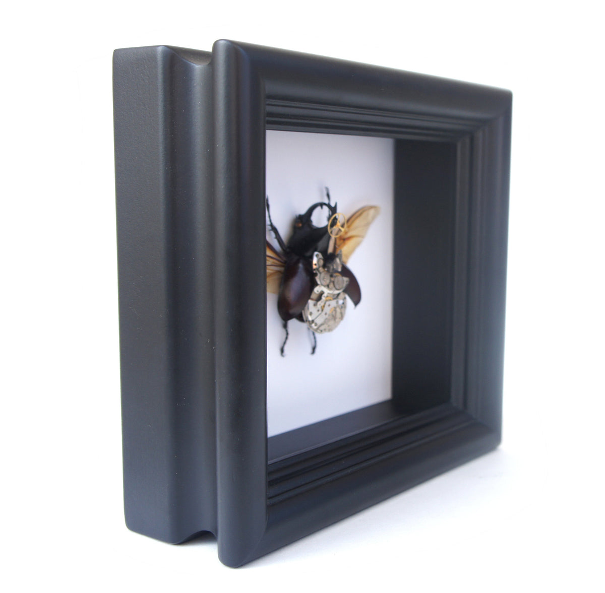 Steampunk rhino beetle frame, detail view
