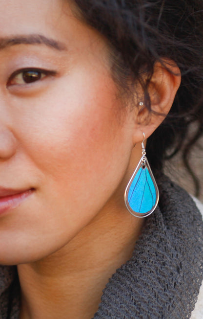 Blue Morpho teardrop earrings, additional view