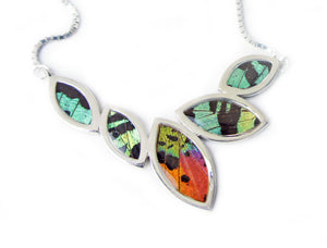 Real Butterfly Sterling Silver Necklace - Sunset Moth Marquis